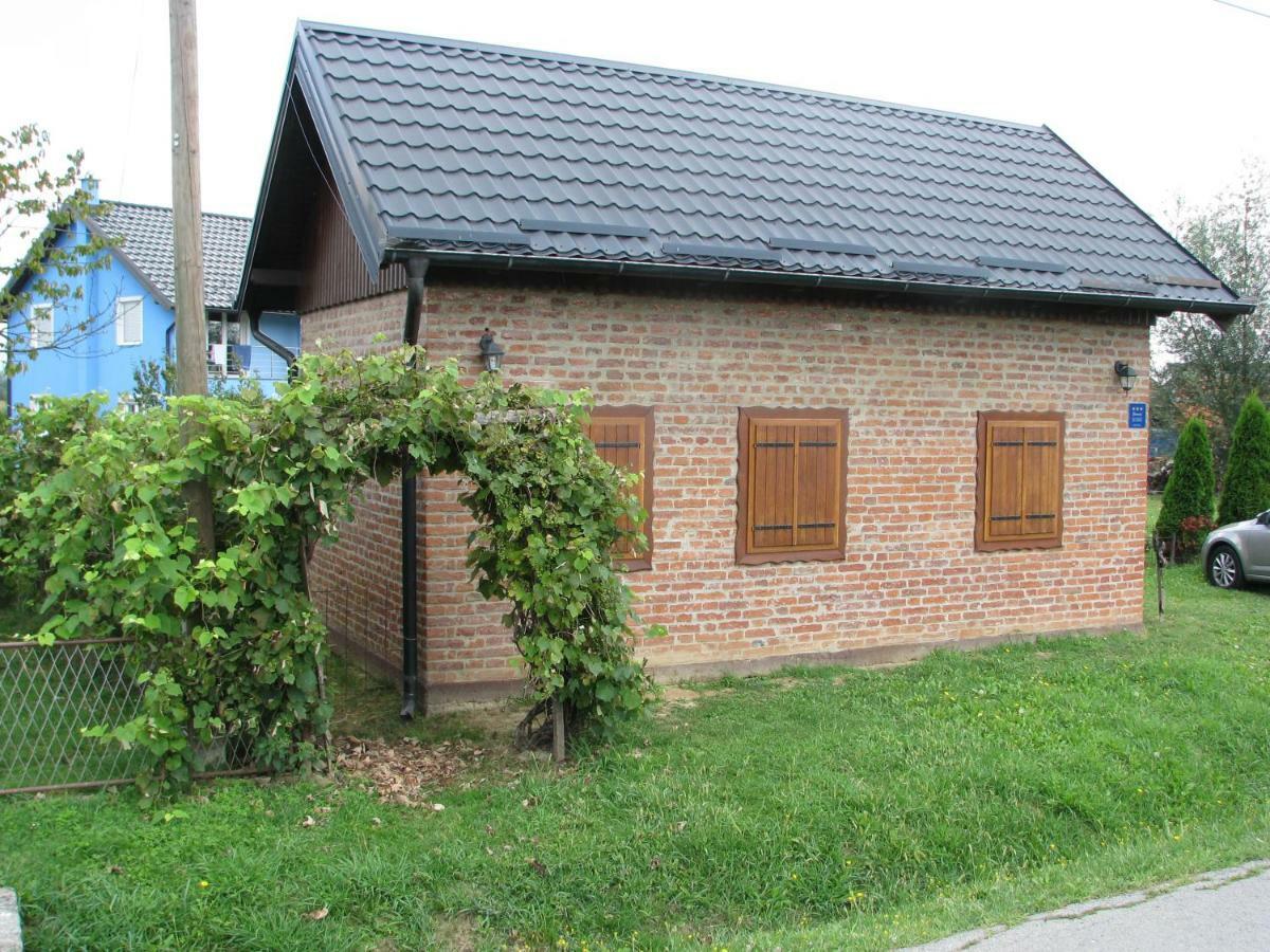 Plavi Lav Holiday home Potok