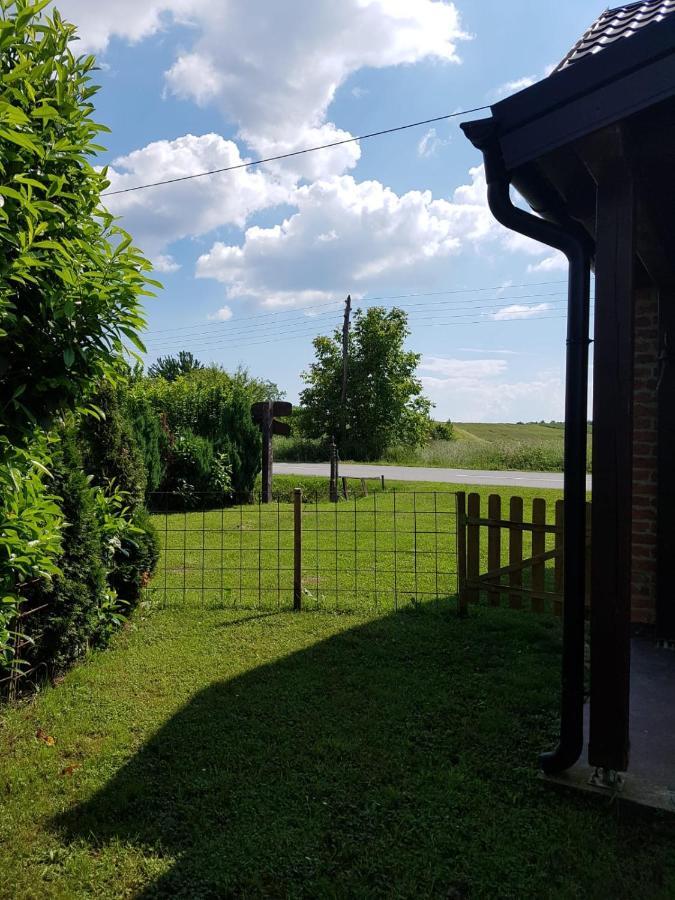 Plavi Lav Holiday home Potok